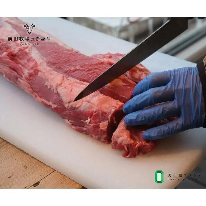 【大田原 前田牧場直送 赤身牛】ヒレブロック シャトーブリアン 約500g×2 (1kgのブロックを2分割します)  数量限定 ブランド牛 牛肉 フィレ ステーキ ヒレ 産地直送 産直