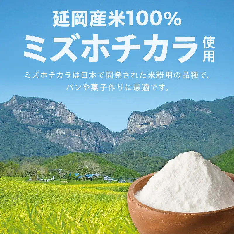 こめの粉 雷粉』ミズホチカラ(パン・菓子用)500g N194-YA0493 | 宮崎県