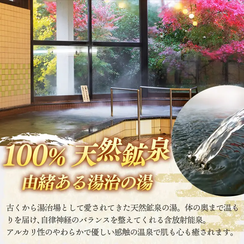 湯田山荘 入浴回数券 12枚綴り×1セット【入浴券 温泉 チケット 100% 天然鉱泉 くつろぎ 癒し リフレッシュ ご褒美 贅沢 旅行 立ち寄り湯 温泉宿 島根県 安来市】【22-ED-01】