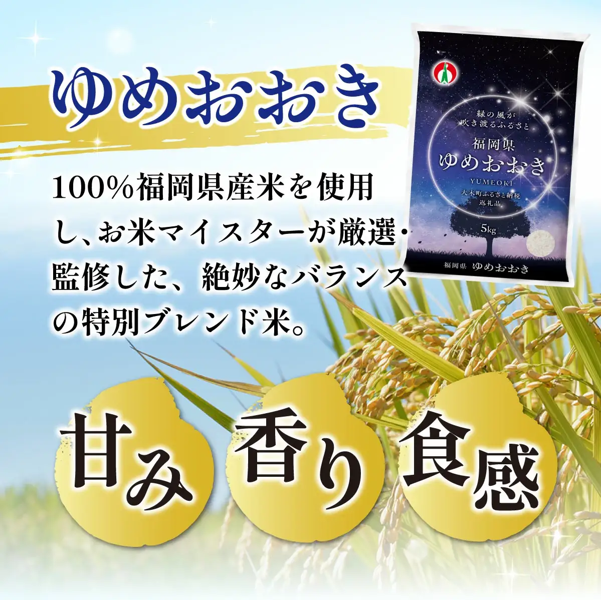 福岡県産米 無洗米 ゆめおおき 10kg 無洗 CY015