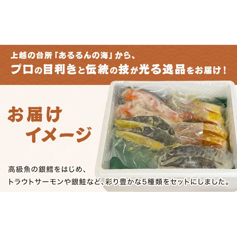 【発酵のまち上越】人気鮮魚店が厳選！ 厚切り漬け魚 5種10切セット（約1kg）銀鱈/サーモン/西京漬/粕漬/塩麹 熨斗対応可 あるるんの海