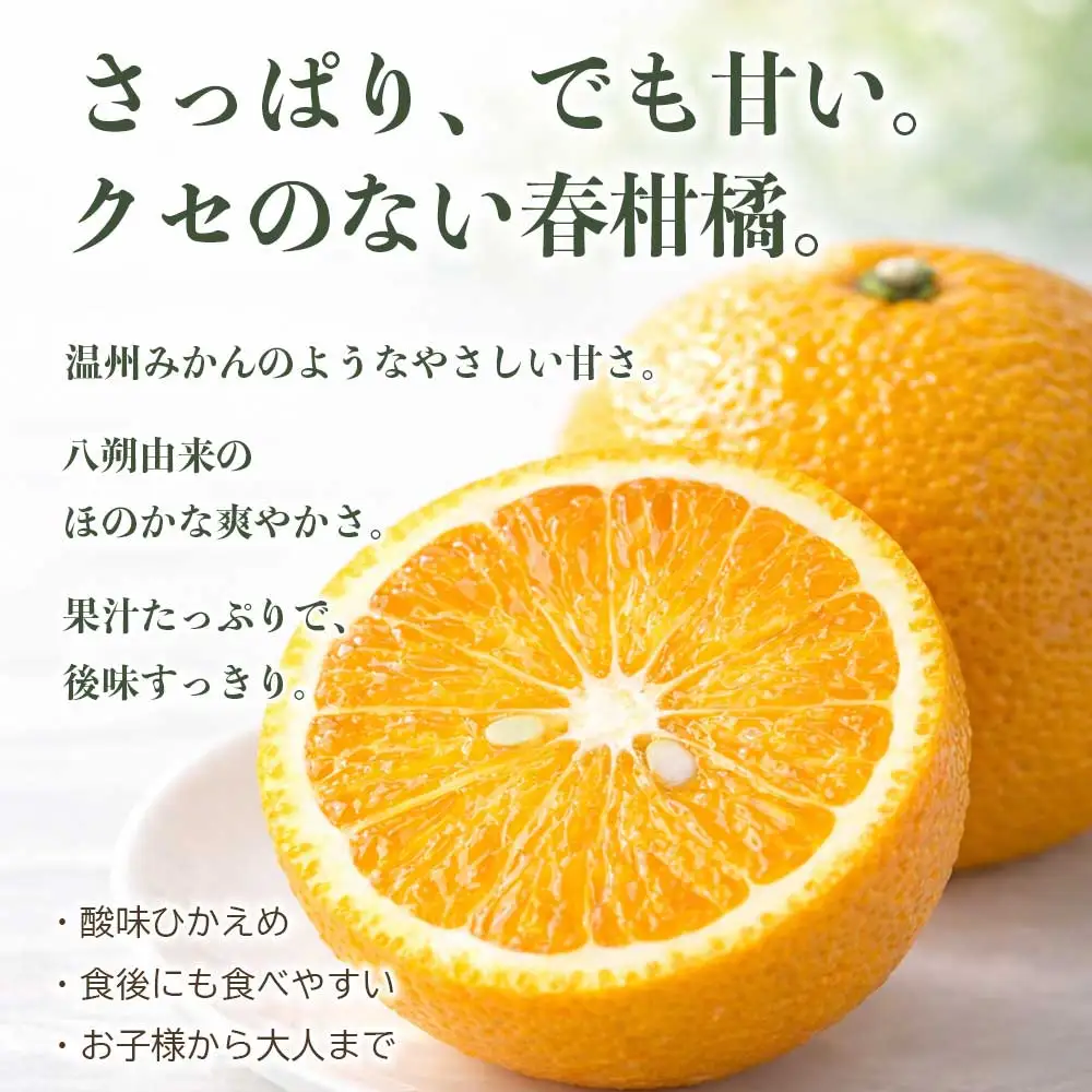 先行予約 訳ありスイートスプリング みかん 約10㎏ 【2027年1月中旬～2027年3月上旬配送予定】