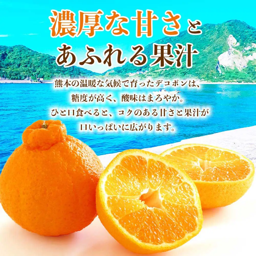 先行予約 デコポン 約5㎏ （12～24玉 ）【2026年12月上旬～2027年4月上旬発送予定】