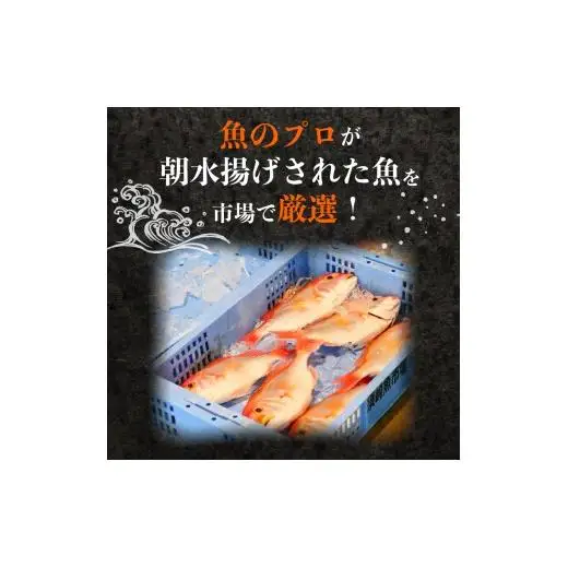 【魚屋のプロが厳選！】 鮮魚 BOX 4kg 鮮魚