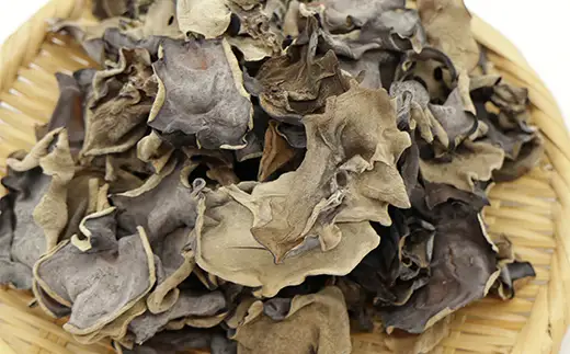 【訳あり】福島県産 乾燥きくらげ100g×2パック きくらげ 木耳 キクラゲ 肉厚 国産 食品  F4D-2584