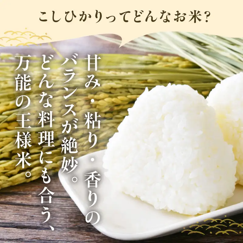 東浦町産　こしひかり　約10kg（5kg×2袋）│米 お米 コメ 白米 精米 新米 愛知県産