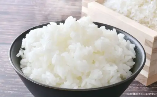 【 令和7年産 】 岡山県産 コシヒカリ 10kg （ 5kg × 2袋 ） 香り 旨味 ツヤ 粘り お米 米 こめ コメ 白米 白飯 飯 ご飯 ブランド米 ブランド 国産 おにぎり