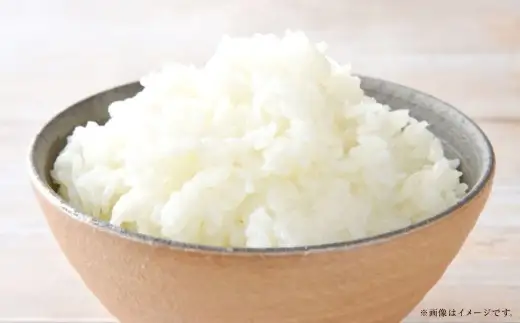 【 令和7年産 】 岡山県産 きぬむすめ 10kg （ 5kg × 2袋 ） 甘み 粘り 食味 特A お米 米 こめ コメ 白飯 飯 ご飯 ブランド米 ブランド 国産 白米 おにぎり