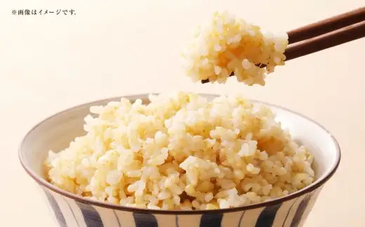 【 令和7年産 】 岡山県産 きぬむすめ 早炊き 玄米 10kg （ 2kg × 5袋 ） 栄養 時短 炊飯器 洗米不要 食味 お米 米 こめ コメ 白米 白飯 飯 ご飯 ブランド米 ブランド 国産 おにぎり