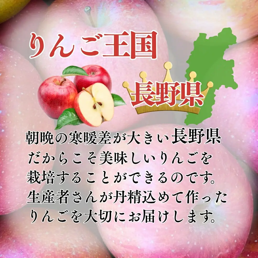 【2026年先行予約】千曲市産 秋映 りんご 約3kg 訳あり 家庭用 | りんご