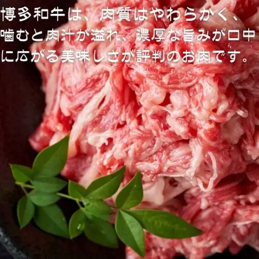 ZG280.訳あり！博多和牛A4～A5ランク切り落とし250g【博多和牛】