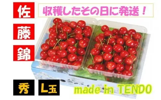 さくらんぼ ( 佐藤錦 ) 1kg さくらんぼ 08-02-020