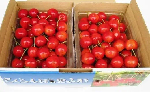 さくらんぼ ( 紅秀峰 ) 1kg さくらんぼ 08-02-021