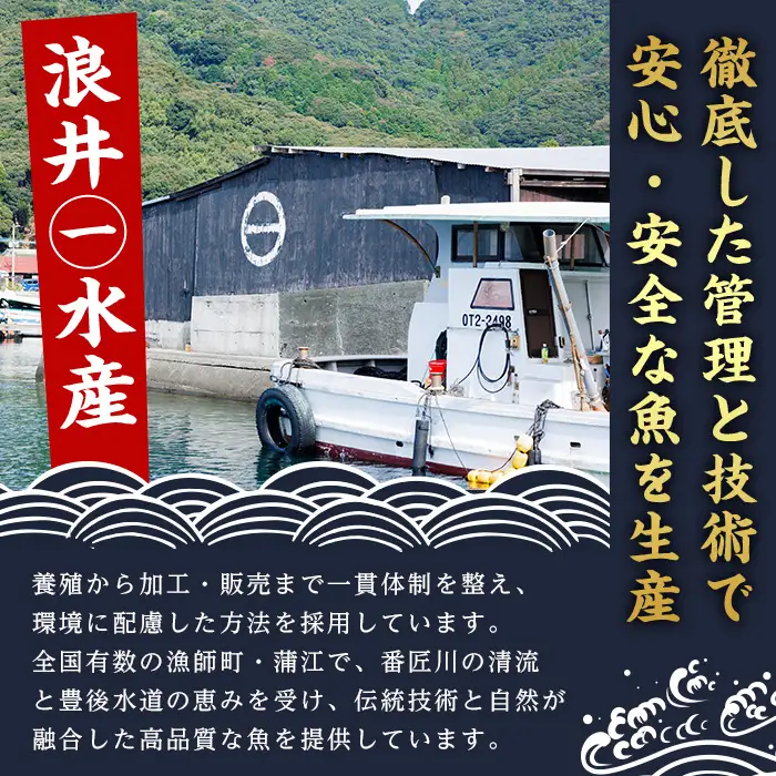 とらふぐ 刺身 セット 4～5人前 2皿セット (75g×2皿・計150g) ふぐ刺し ふぐ刺身 とらふぐ 薬味付き ポン酢付き 個包装 真空 冷凍 国産 養殖 河豚 豊後水道 岬ふぐ 海鮮 魚介 大分県 佐伯市【JJ003】【浪井丸一水産】