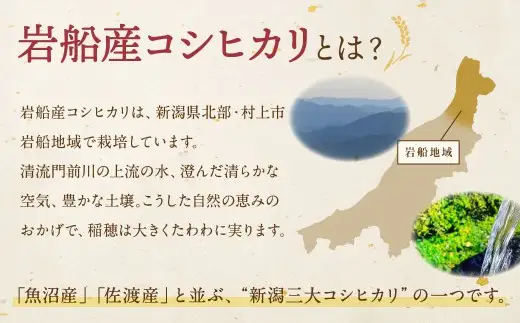 【新米受付・令和8年産米】【定期便：3ヶ月お届け】】新潟県村上市　岩船産コシヒカリ6kg（2kg×３袋）×3ヶ月　合計18kg　1103002N