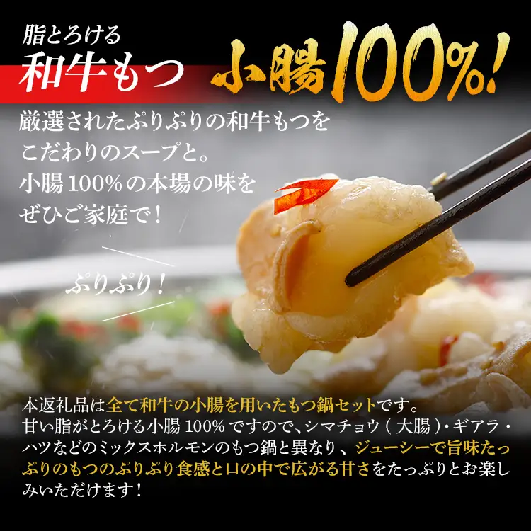 もつ鍋 【訳あり】 もつ鍋セット5人前＋無着色辛子明太子（切子）500g  もつ鍋 