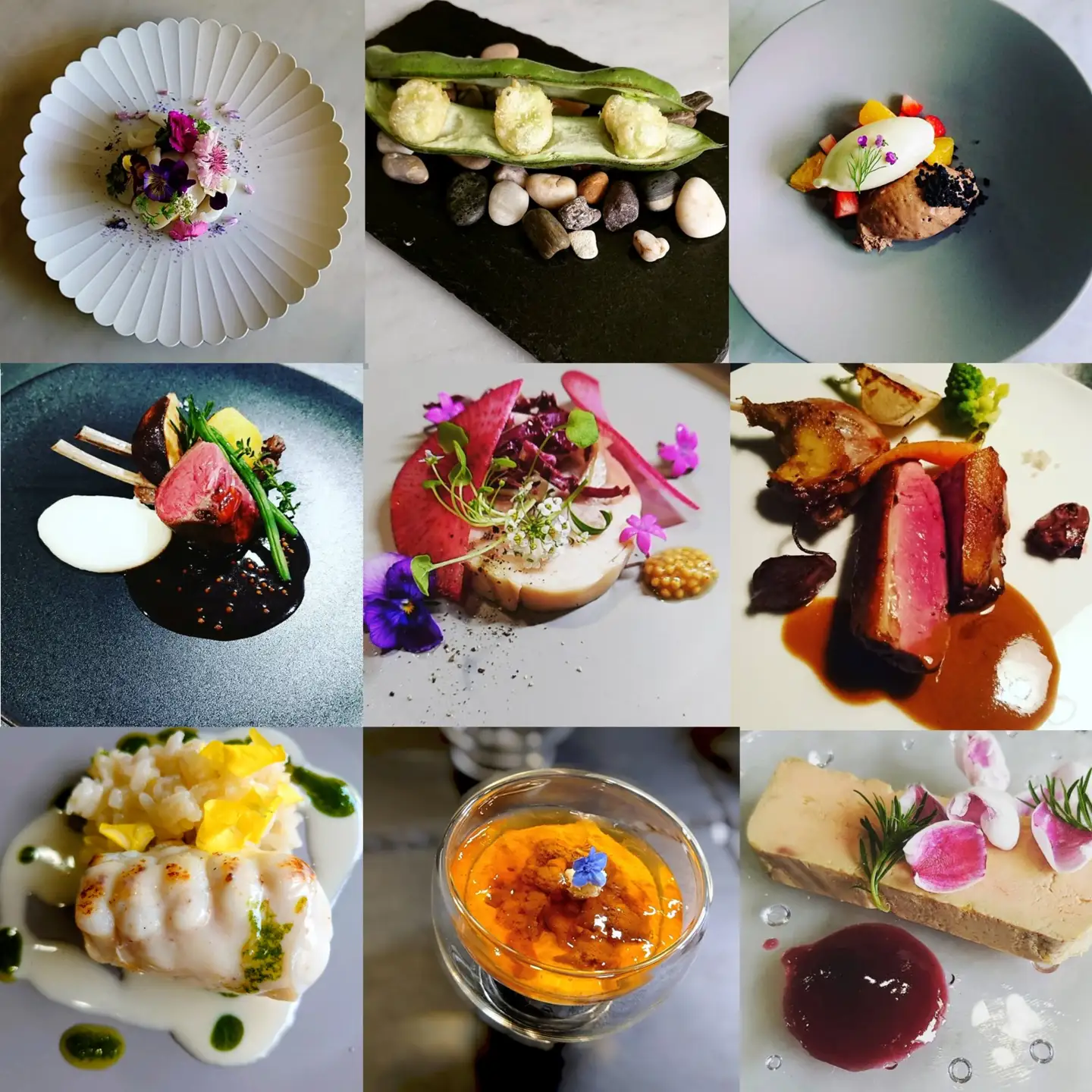 Munakata Cuisine Ishida ランチペア(2名様) お食事券 ジャルダン 庭 コース【Munakata Cuisine Ishida】_HA2013 食事券 チケット コース ランチ ペア おまかせ 記念日 福岡県宗像市 宗像市 宗像