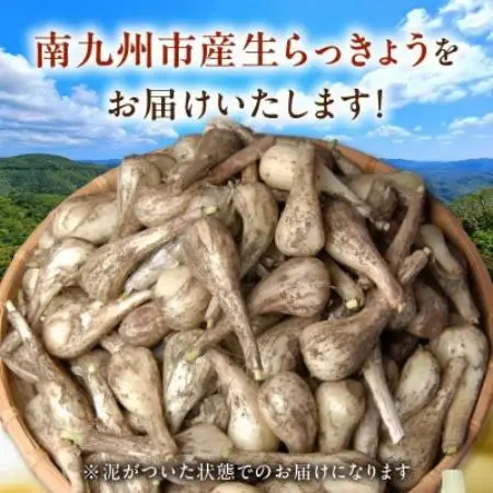生らっきょう(小粒) 5kg【配送不可地域：離島】【1739740】