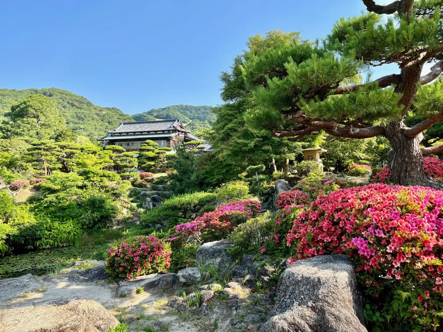 毛利博物館 企画展ペアチケット 公益財団法人毛利報公会 山口県 防府市 A75 観覧券 入場券 招待券 庭園 歴史 毛利家 国指定名勝 観光 芸術 散策