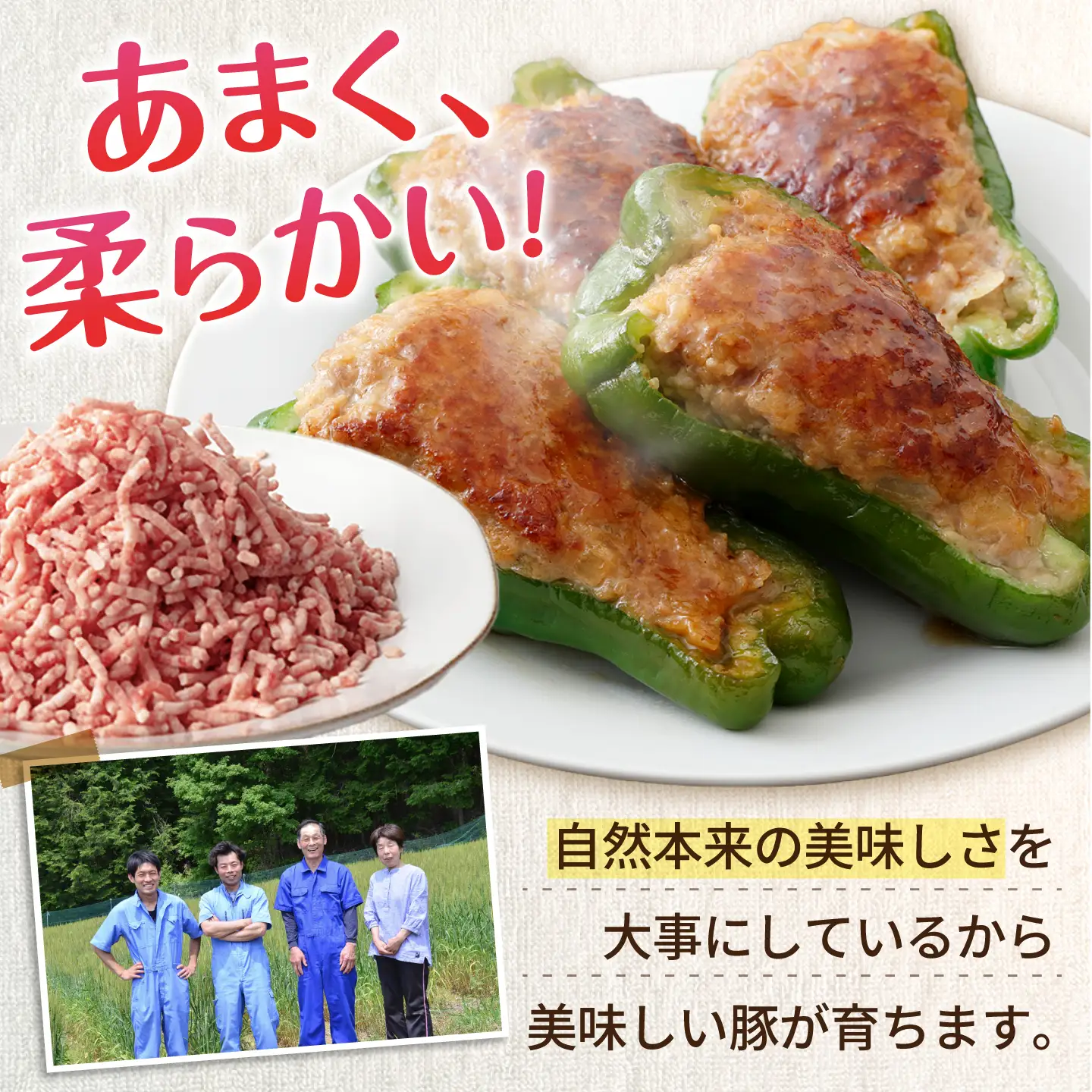 《バラ凍結》あんしん豚 豚ミンチ 1kg 豚肉 ミンチ肉 豚ひき肉 ひき肉 豚ミンチ 挽肉 豚挽き肉 大容量 冷凍 国産 パラパラ 岐阜県 白川町 / 藤井ファーム[AWAF090]