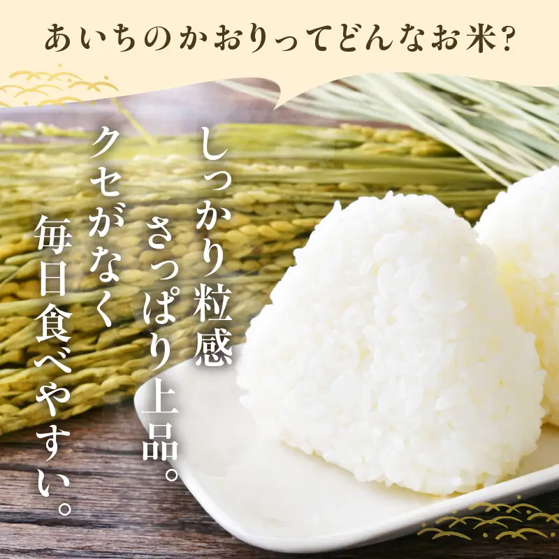 【無洗米】東浦町産　あいちのかおり　約5kg│米 お米 コメ 白米 精米 新米 愛知県産