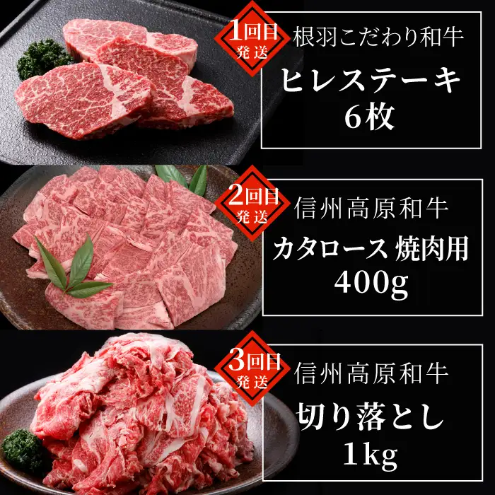 毎月限定3セット！全10回 国産 黒毛和牛★PREMIUM★定期便 シャトーブリアン 赤身ステーキ ステーキ 切り落とし カタロース 焼肉カタロース サーロインステーキ ロースステーキ ステーキ 限定 定期便 根羽村 ブランド牛