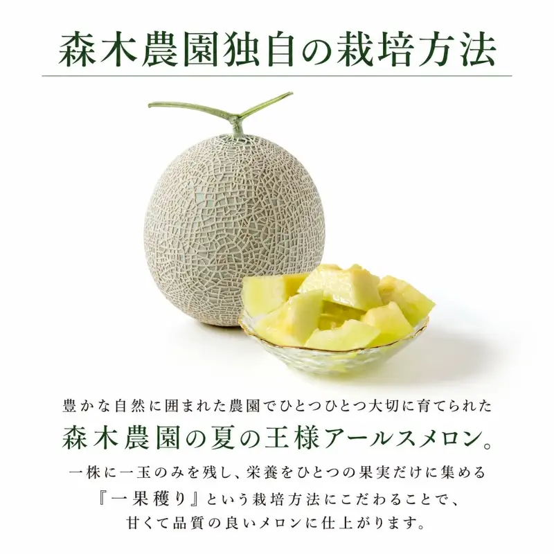 【5口限定・予約受付】アールスメロン メロン 1玉 【森木農園】