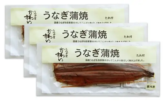 超特大国産うなぎ3本セット(1尾：200~229g)(B1175-1)
