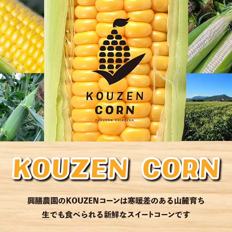 興膳農園のスイートコーン ゴールドラッシュ 約4kg(9~11本)【スイートコーン とうもろこし イエローコーン 夏 野菜 旬 バーベキュー BBQ 産地直送 国産 興膳農園 福岡県 筑前町 BS002】