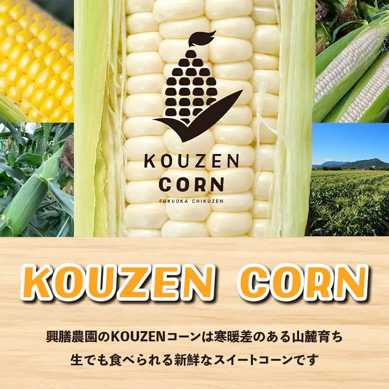 興膳農園のスイートコーン ホワイトコーン 約4kg(9~11本)【スイートコーン とうもろこし 白いとうもろこし 夏 野菜 旬 バーベキュー BBQ 産地直送 国産 興膳農園 福岡県 筑前町 BS003】