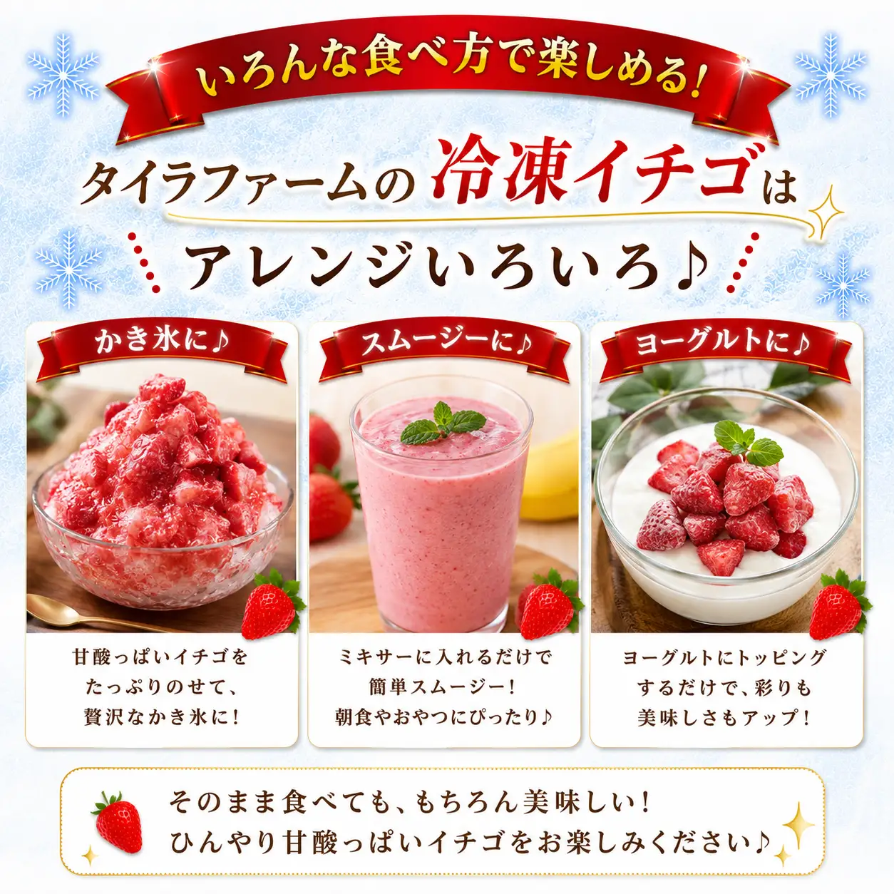 冷凍 イチゴ 1㎏  きらぴ香 牧之原市 静岡県 タイラファーム