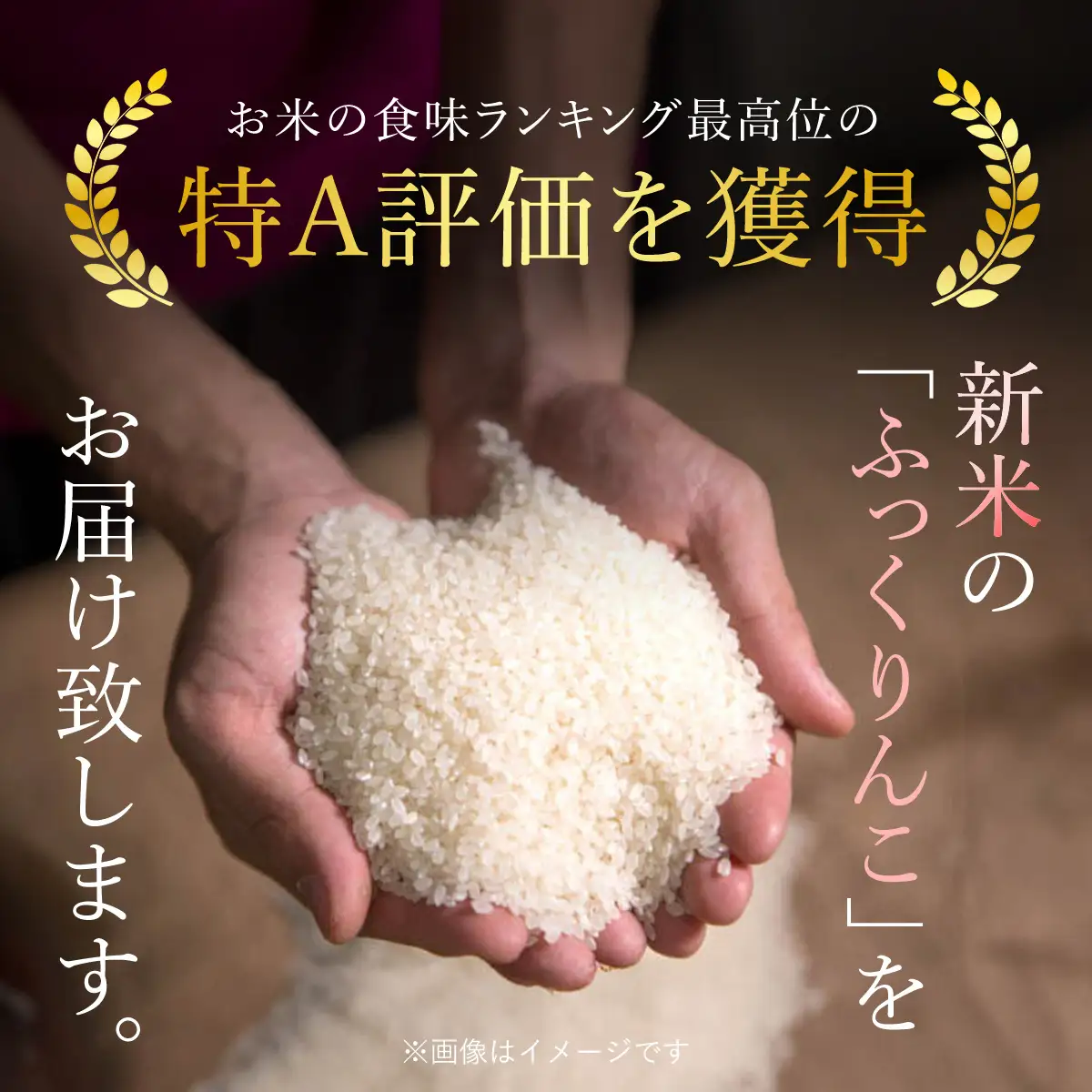 【令和7年産】 北海道厚沢部産 ふっくりんこ 2kg ASG048