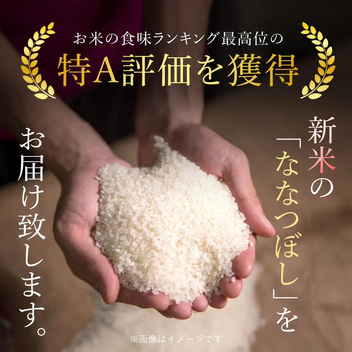 【令和7年産】 北海道厚沢部産 ななつぼし 2kg ASG049