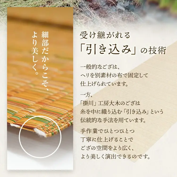純国産天然いぐさ　「掛川　虹」３畳 （黒色）　BG024