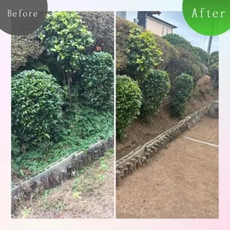 実家・空き家の草刈り・草取り・剪定(大牟田市)【1739304】
