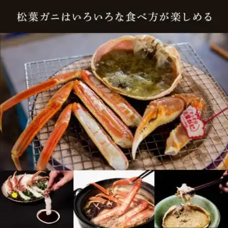 【訳あり】活〆ボイル松葉がに2杯(500～700g×2杯)【配送不可地域：離島・北海道・沖縄県・東北・信越、北陸】【1739403】