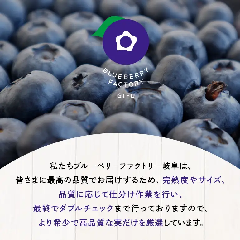 生ブルーベリー 600g（100g×6P） A16-021