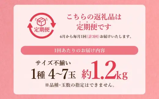 【 全3回定期便 】 訳あり 岡山白桃 （ 家庭用 ） 1.2kg以上 サイズ不揃い 果実 フルーツ 甘み 香り 旬 手土産 くだもの 果物 果汁 果肉 食感 国産 岡山県産 白桃 もも 桃 モモ 【 2026年6月下旬～8月下旬迄発送予定 】