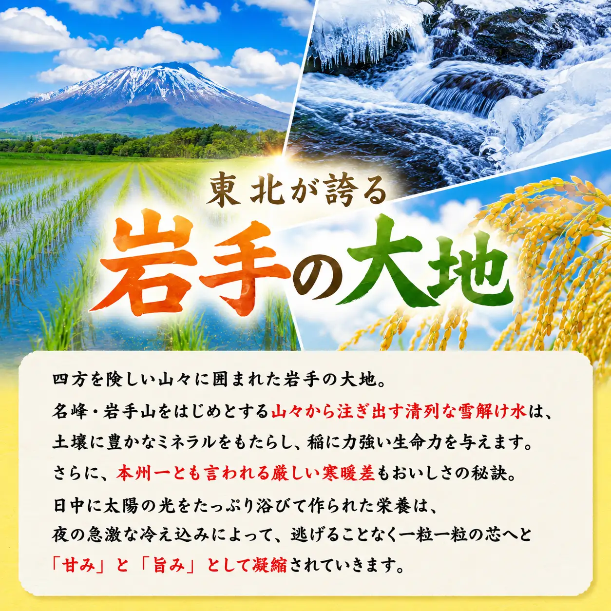 【14日程度発送】ひとめぼれ5kg令和7年産 米 北日本製袋 米 kitanihon002