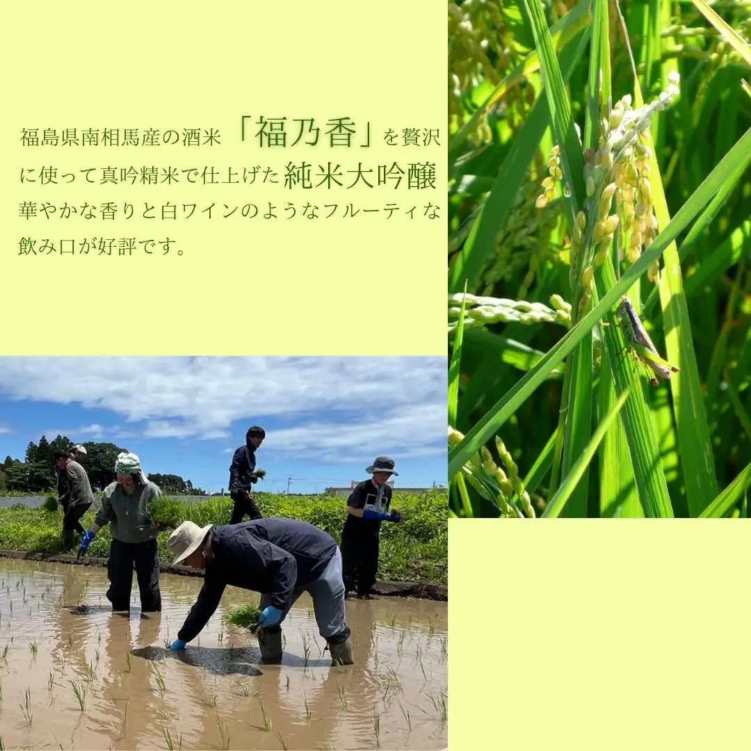 日本酒 soma 純米大吟醸 1800ml 一升瓶｜地酒 南相馬 ギフト アグリロード
