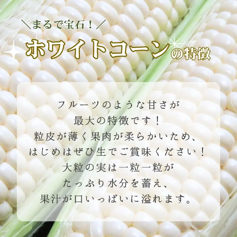 とうもろこし 2種 各5本 計 10本 セット 京丹後産 京都