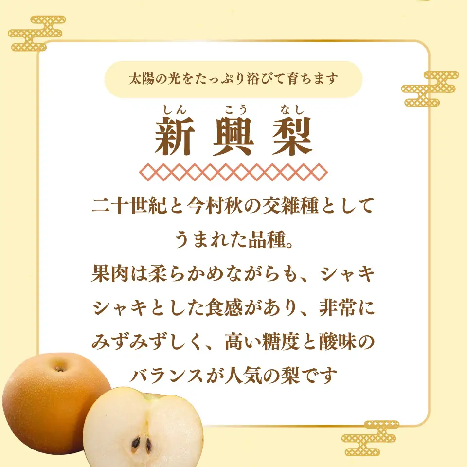 【ふるさと納税】＜新興梨 【期間・数量限定】＞梨 5kg 10～11玉 高知県 佐川町 黒岩 土本観光果樹園 フルーツ【常温】