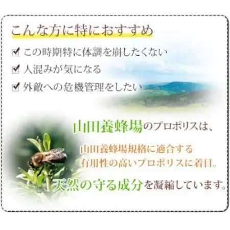 【毎月定期便】プロポリス粒 (486)全6回【4086621】