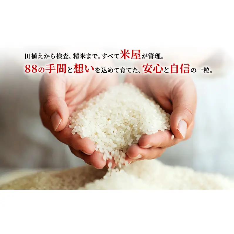 あいちのかおり 5kg 定期便3回 計15kg 富士山の麓で育てた 米 お米 白米 精米 ブランド米 産地直送 静岡 静岡県 裾野 裾野市