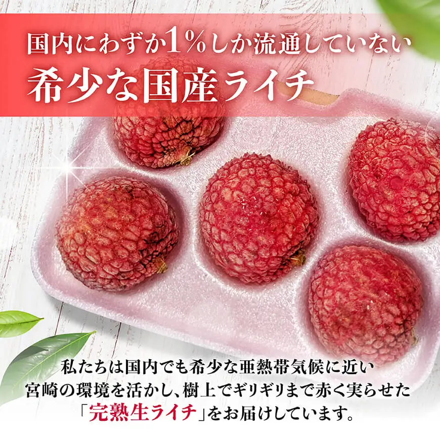 【令和8年産】川南町産ライチ（大粒）10粒(5粒×2パック)【 国産ライチ フルーツ デザート 宮崎県産 】