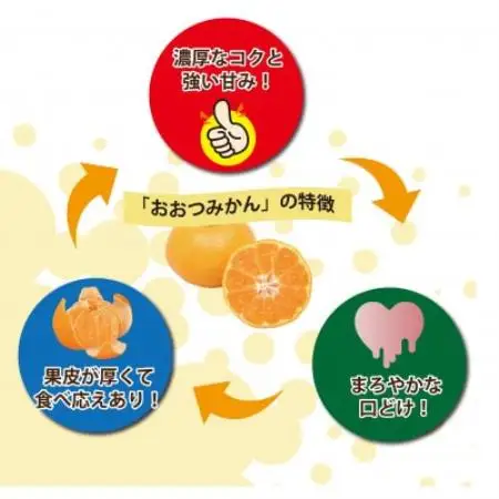 【2027年1月順次発送!】100年以上続くみかん農家がつくる「みかん(大津4号)」約5kg【配送不可地域：離島】【1738393】
