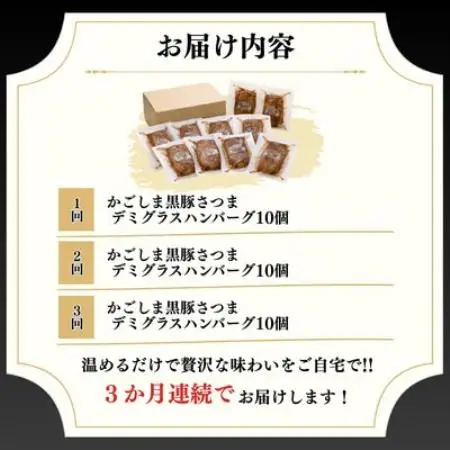 【毎月定期便】「かごしま黒豚さつま」デミグラスハンバーグ10個セット(南九州市)全3回【配送不可地域：離島】【4086888】