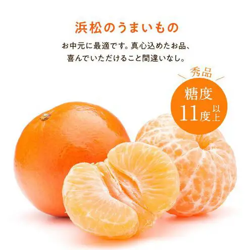 浜松市産 JAとぴあ浜松 ハウスとぴあみかん 秀Lサイズ 約2.5kg 約20個入り 糖度11度以上 みかん ミカン 静岡 浜松市