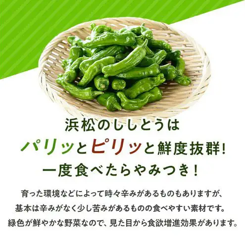 浜松市産 ししとう 約100g×10パック 合計約1kg とうがらし 獅子唐 シシトウ 国産 野菜 静岡 浜松市