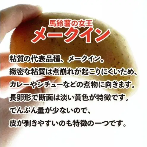 【静岡県浜松市産】三方原馬鈴薯 メークイン Lサイズ 約5kg（1袋約1kg×5袋） じゃがいも 芋 野菜 静岡 浜松市